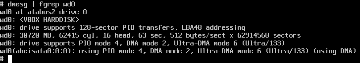 screenshot of wd0 dmesg details